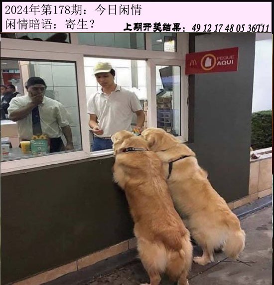 178期今日闲情[图]