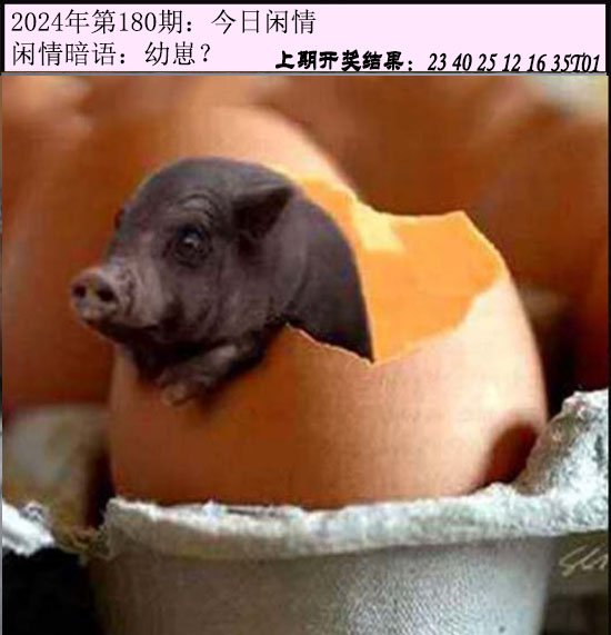 180期今日闲情[图]