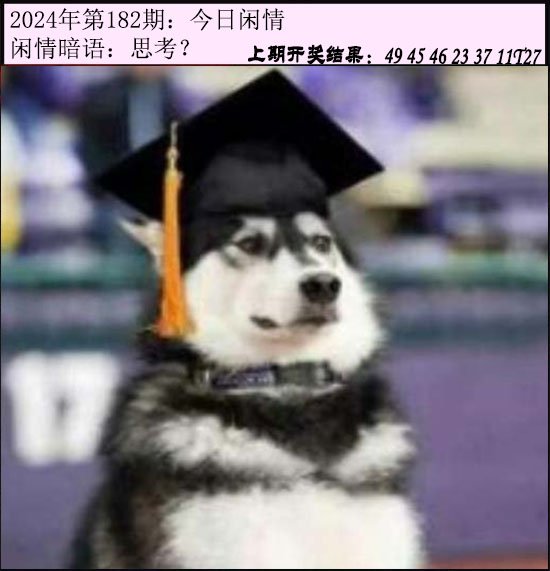 182期今日闲情[图]