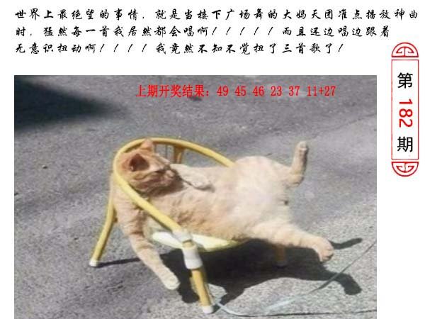 182期澳门生活幽默[图]