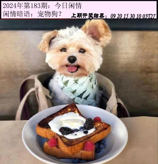 183期今日闲情[图]