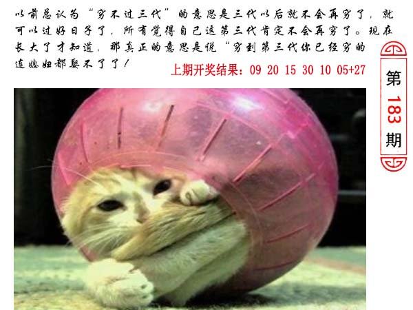 183期澳门生活幽默[图]