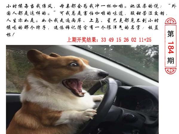 184期澳门生活幽默[图]