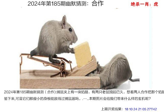 185期幽默猜测[图]