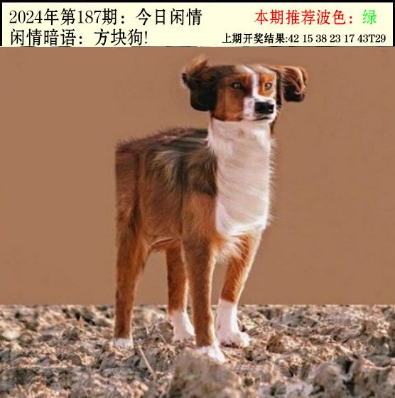 187期今日闲情2[图]