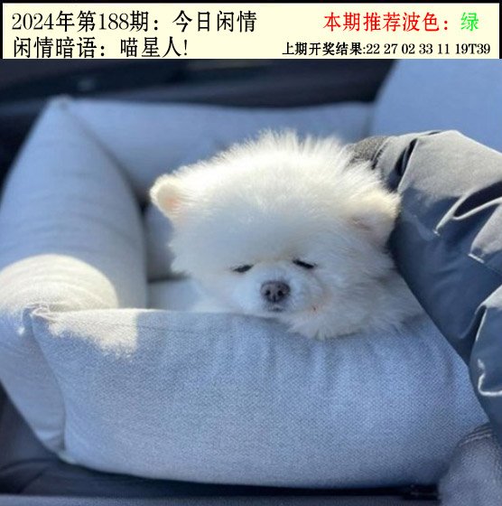 188期今日闲情2[图]