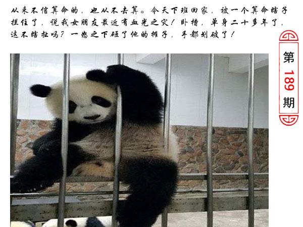 189期澳门生活幽默[图]