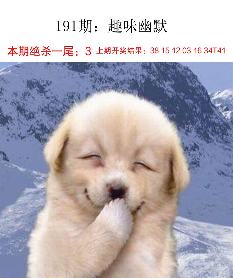 191期趣味幽默[图]