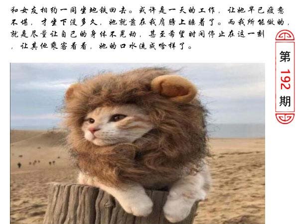 192期澳门生活幽默[图]