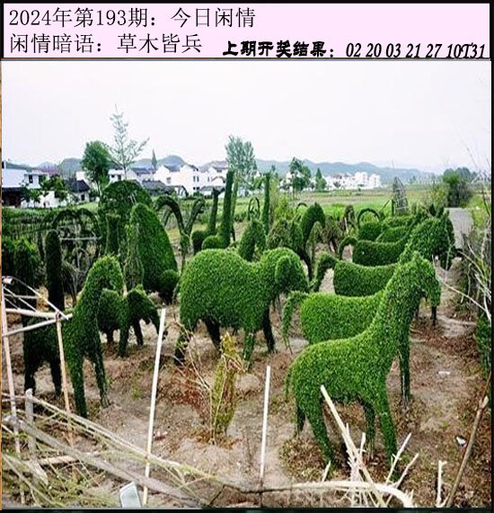 193期今日闲情[图]