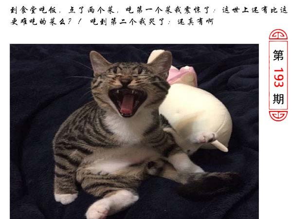 193期澳门生活幽默[图]