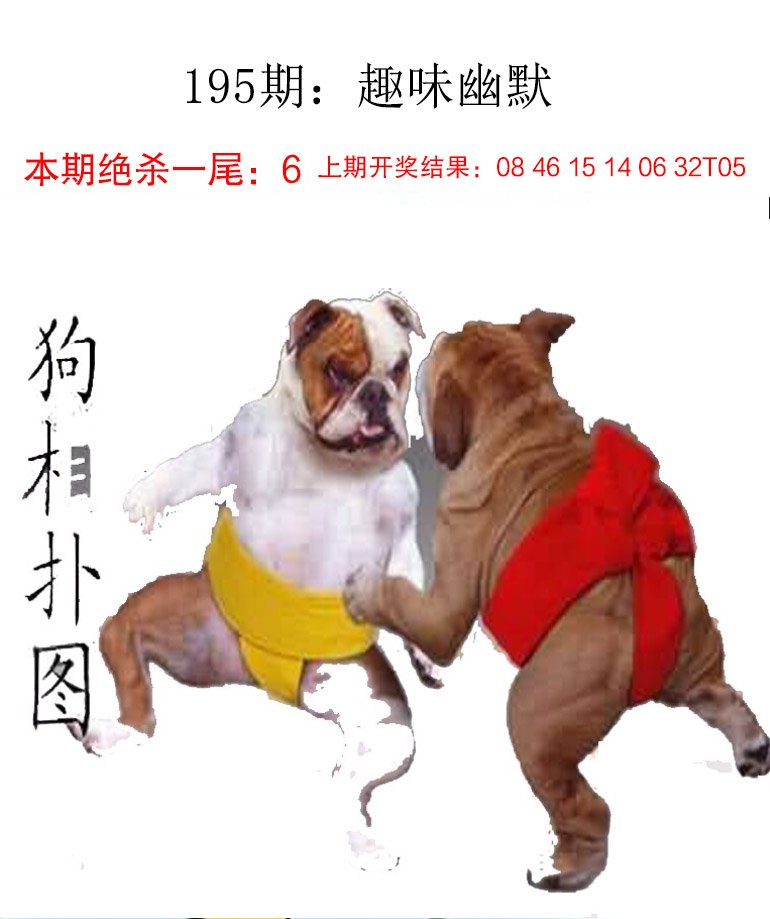 195期趣味幽默[图]