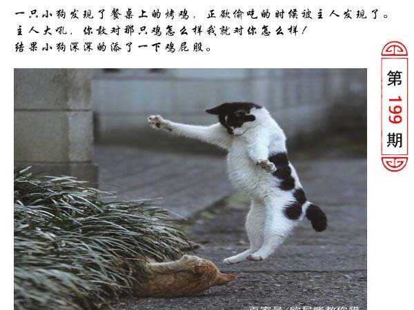 199期澳门生活幽默[图]