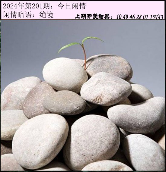 201期今日闲情[图]