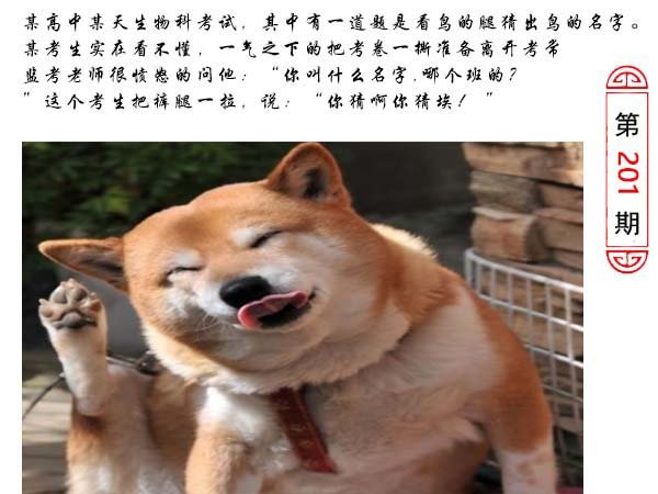 201期澳门生活幽默[图]