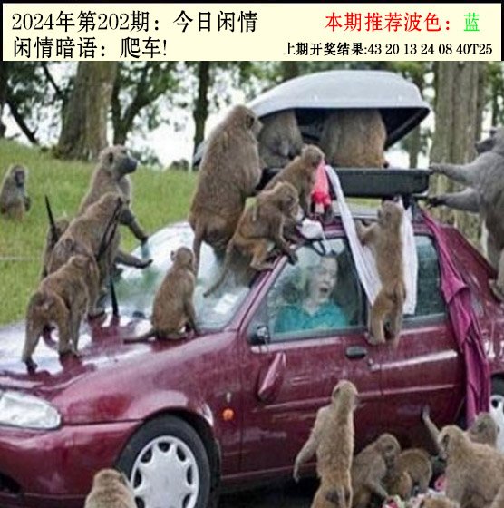 202期今日闲情2[图]