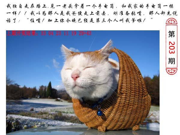 203期澳门生活幽默[图]