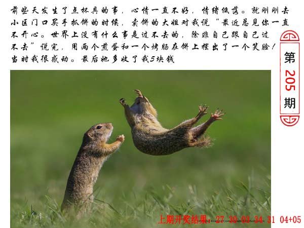 205期澳门生活幽默[图]