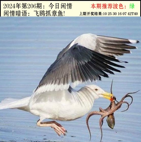 206期今日闲情2[图]