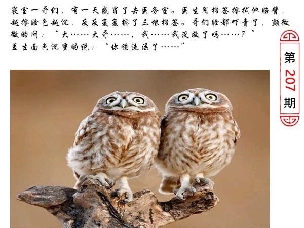 207期澳门生活幽默[图]