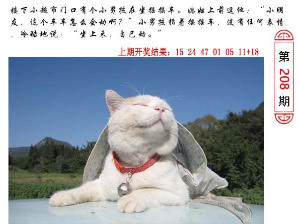 208期澳门生活幽默[图]