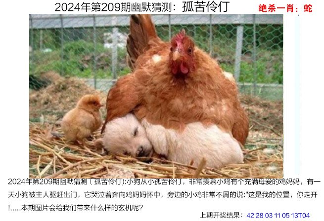 209期幽默猜测[图]
