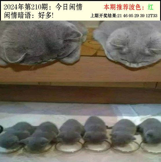 210期今日闲情2[图]