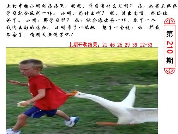 210期澳门生活幽默[图]