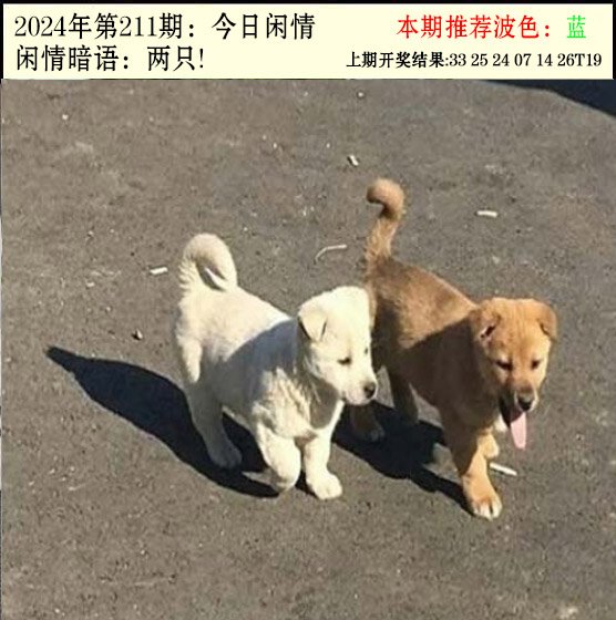 211期今日闲情2[图]