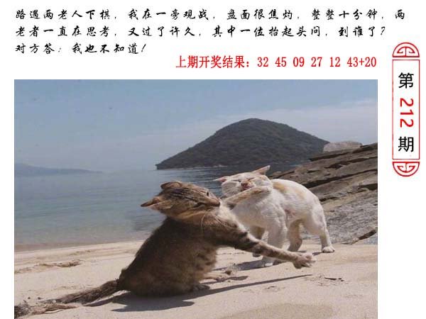 212期澳门生活幽默[图]