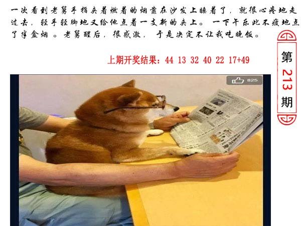 213期澳门生活幽默[图]