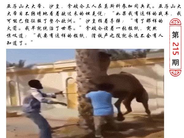 215期澳门生活幽默[图]