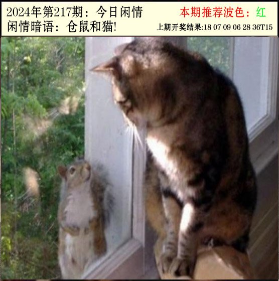 217期今日闲情2[图]