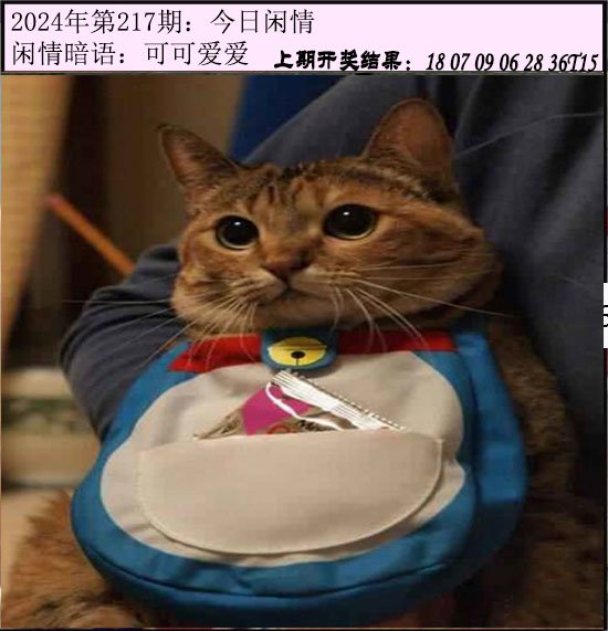 217期今日闲情[图]