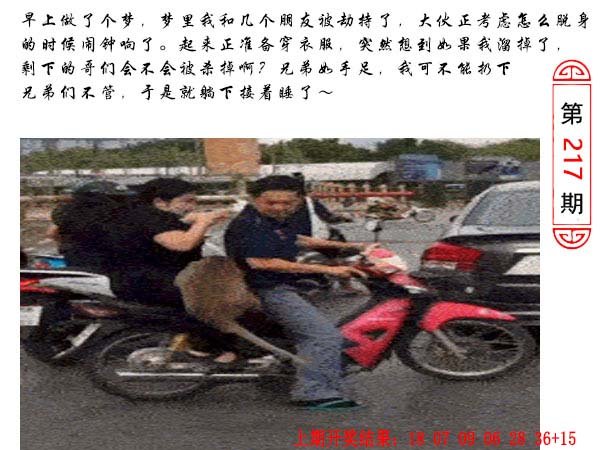 217期澳门生活幽默[图]