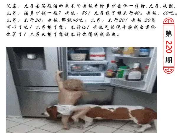 220期澳门生活幽默[图]