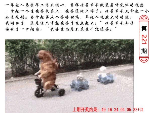 221期澳门生活幽默[图]