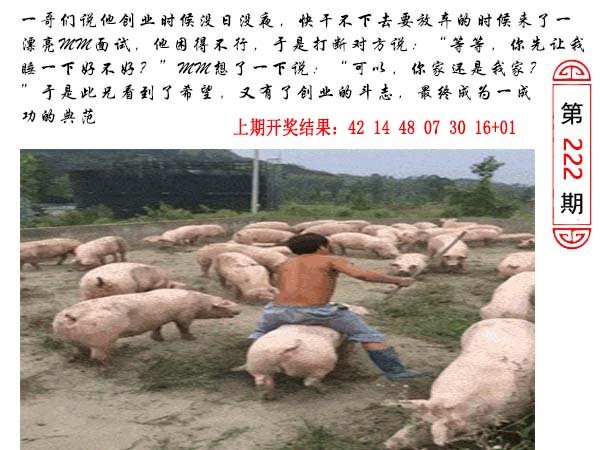 222期澳门生活幽默[图]