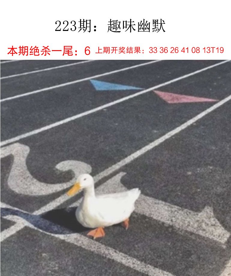 223期趣味幽默[图]