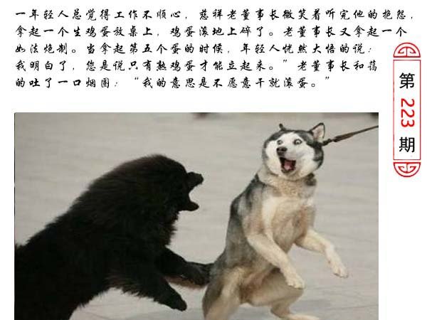 223期澳门生活幽默[图]