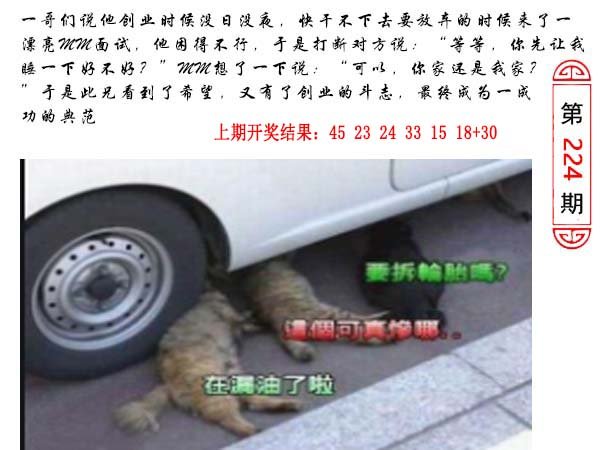 224期澳门生活幽默[图]