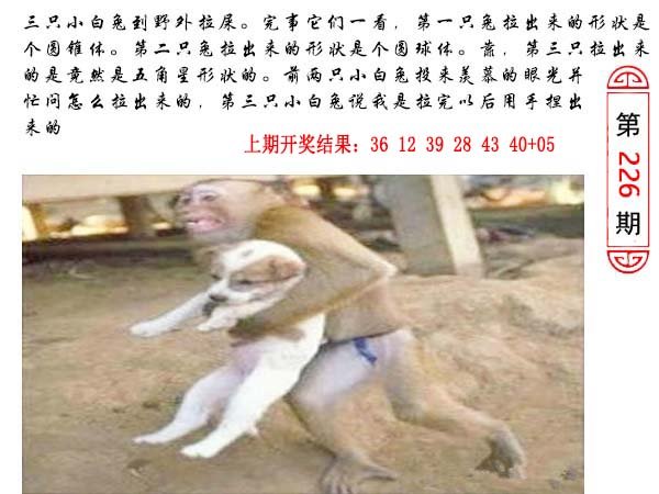 226期澳门生活幽默[图]