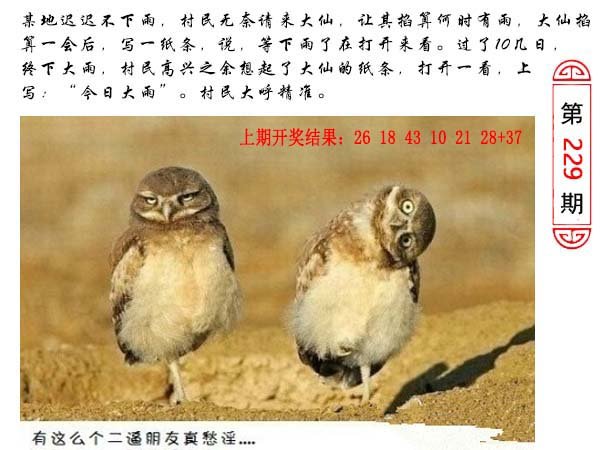 229期澳门生活幽默[图]