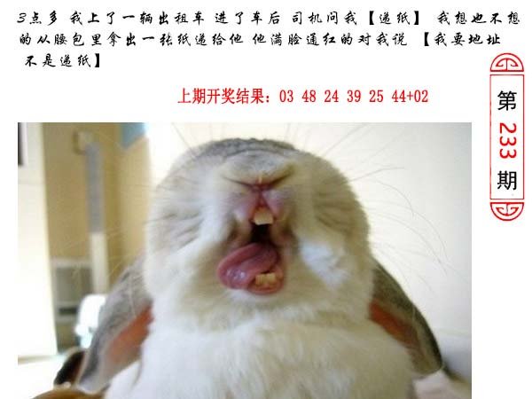 233期澳门生活幽默[图]