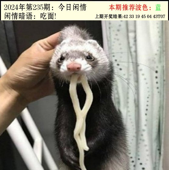 235期今日闲情2[图]