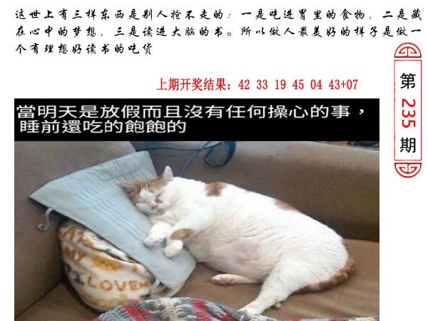 235期澳门生活幽默[图]