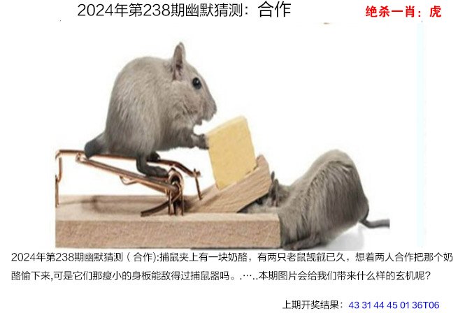 238期幽默猜测[图]