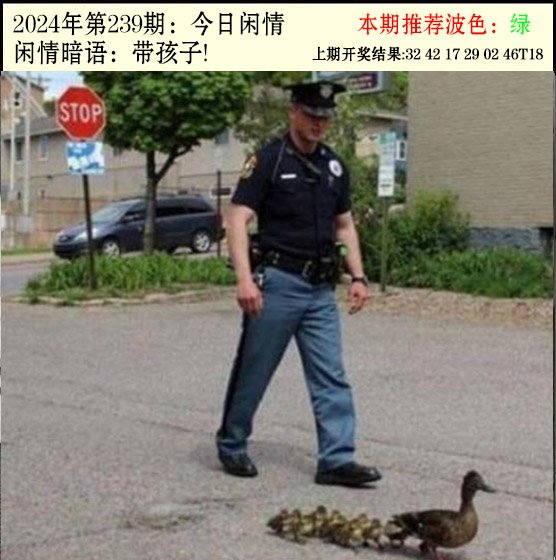 239期今日闲情2[图]