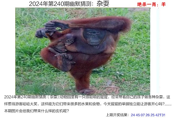 240期幽默猜测[图]