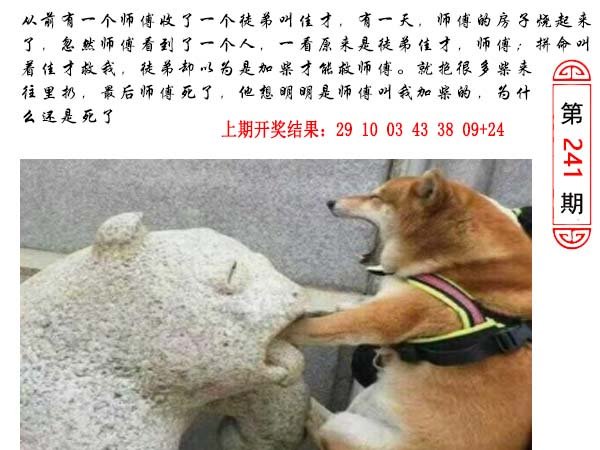 241期澳门生活幽默[图]